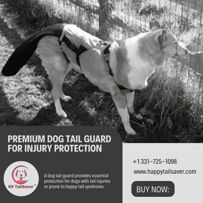 Premium Dog Tail Guard for Injury Protection