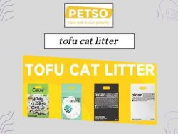 Eco-Friendly Tofu Cat Litter for Clean Homes