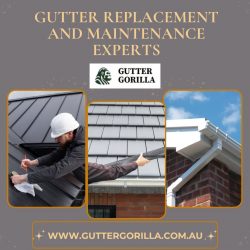 Gutter Replacement and Maintenance Experts in Australia