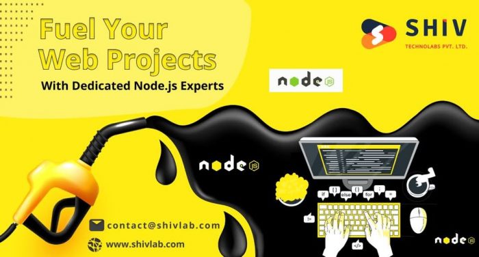 Hire Expert Node JS Developers by Shiv Technolabs