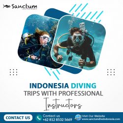 Indonesia Diving Trips with Professional Instructors