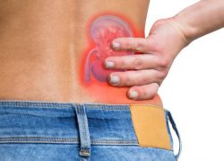 Kidney Stone Removal in India | HOSPIDIO