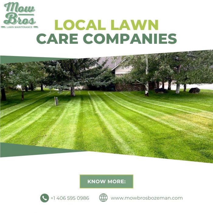 Local Lawn Care Companies