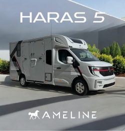 Horsetrucks for 2 Horses – Safe, Spacious & Built for Comfort
