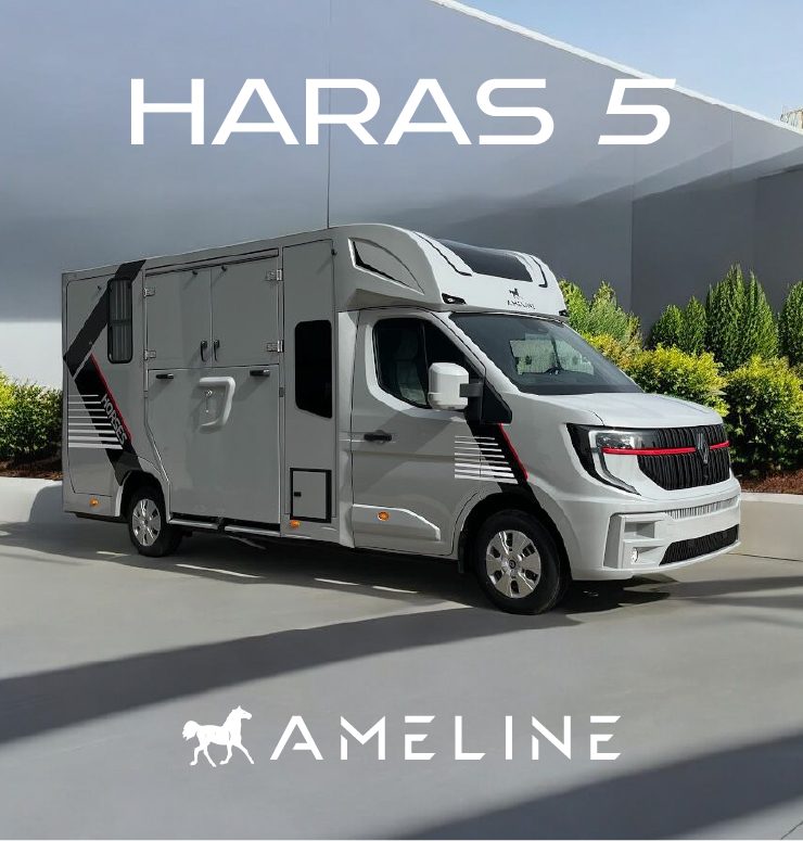 Horsetrucks for 2 Horses – Safe, Spacious & Built for Comfort