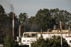 Municipal Waste Incinerator