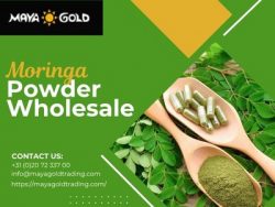 Pure Moringa Powder Wholesale Supplier for Natural Products