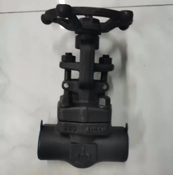 Bolted Bonnet Forged Steel ANSI Globe Valve