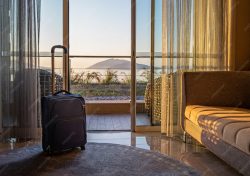 Discover the Best Hotels Near the Edmonton Airport Today