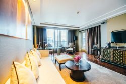 Modern Apartments in San Antonio – Experience Contemporary Living