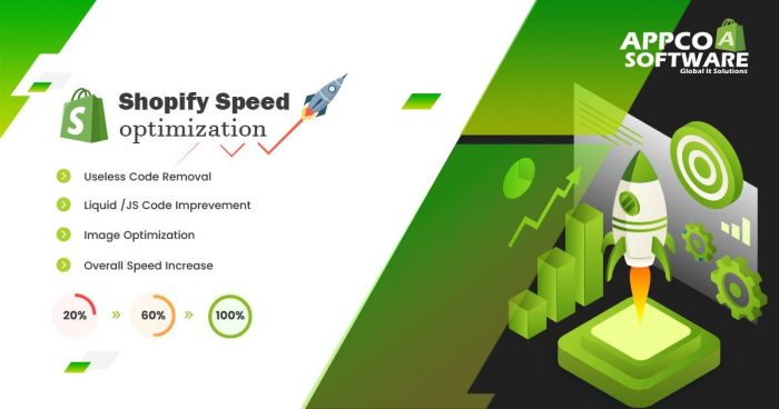 Expert Shopify Speed Optimization Service to Improve Performance