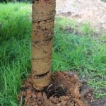 Building Strong Foundations — The Importance of Soil Testing and Site Classifications in Melbourne