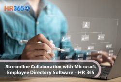 Streamline Collaboration with Microsoft Employee Directory Software – HR 365