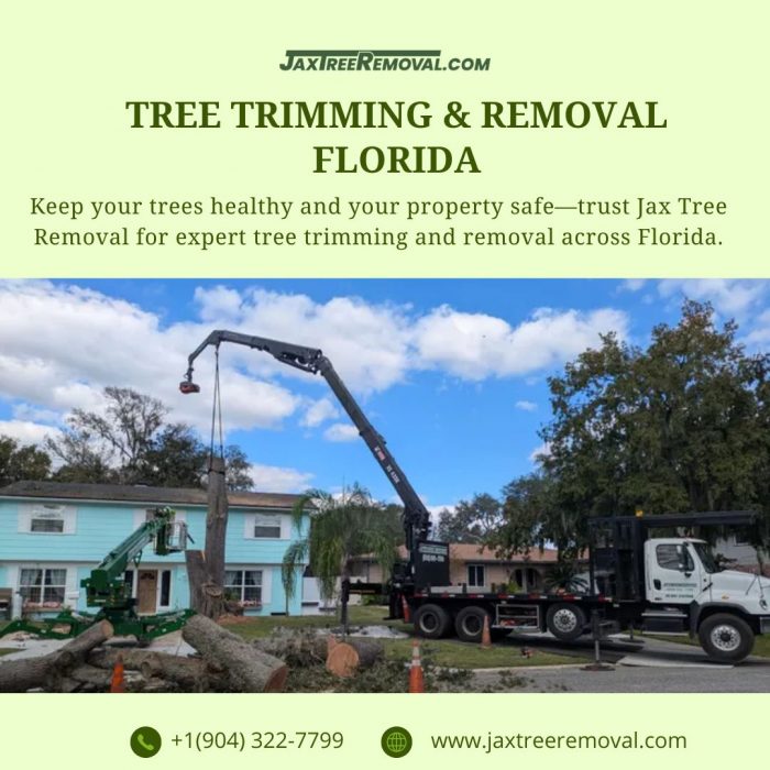 Tree Trimming & Removal Florida