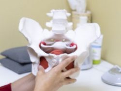 Best Halifax Shockwave Therapy