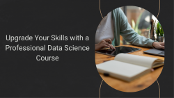 Upgrade Your Skills with a Professional Data Science Course
