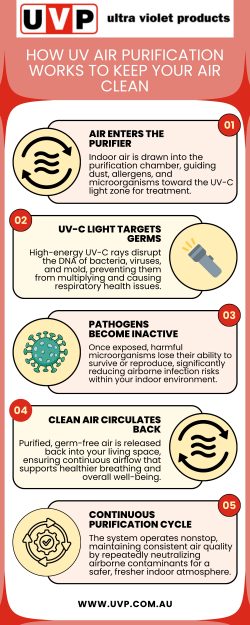 UV Air Purification System