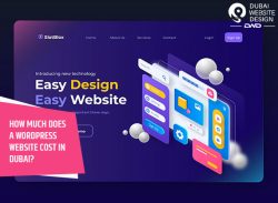 How much does a WordPress website cost in Dubai?