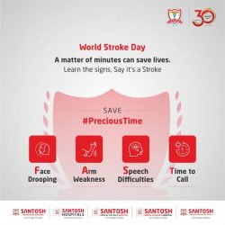 World Stroke Day,