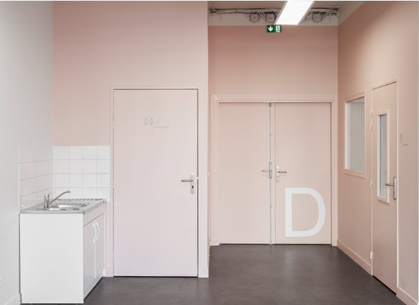 LHSH Double Fire Safety Door