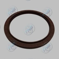 CORTECO 01019352B 145-175-17 21