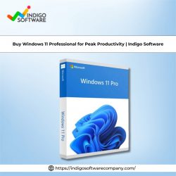 Buy Windows 11 Professional for Peak Productivity | Indigo Software
