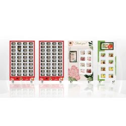 Temperature-Controlled Locker Vending Machine