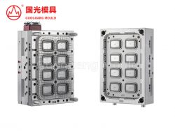 Fast-Food Thin-Wall Lunch Box Molds: Precision Tools for a Global Takeaway Market
