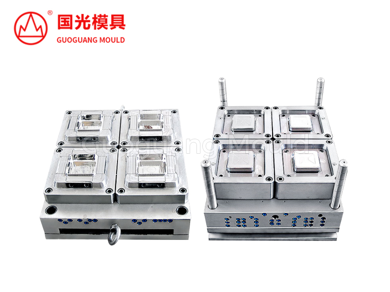 Plastic Compartment Lunch Box Moulds: Creating Functional Multi-Section Food Containers