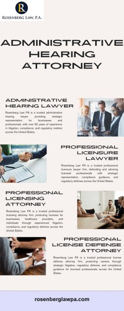 Professional License Defense Attorney | Rosenberg Law PA