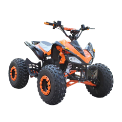 Chinese ATV Industry Navigating a Phase of Strategic Adaptation
