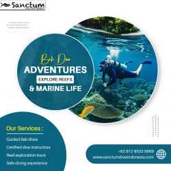 Bali Dive Adventures – Explore Reefs & Marine Life