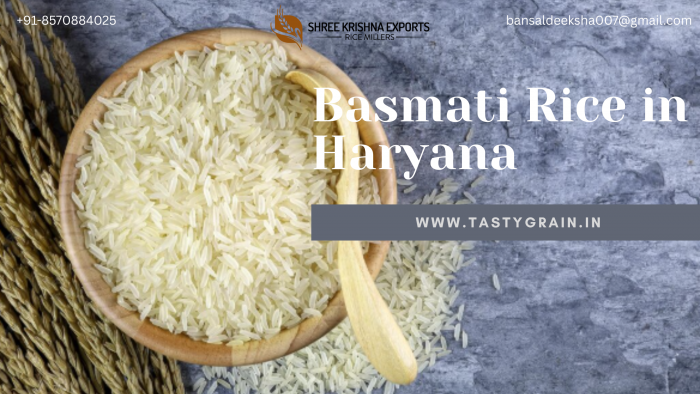 Premium Quality Basmati Rice from Haryana for Global Markets