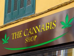 Paradise Cannabis: The Highest Rated Cannabis Store Near Me