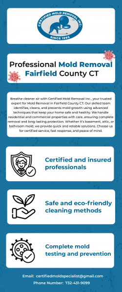 Professional Mold Removal Fairfield County CT
