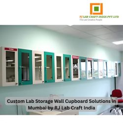 Trusted Lab Storage Wall Cupboard Manufacturers in Mumbai | RJ Lab Craft India