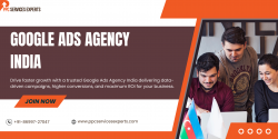Google Ads Agency India