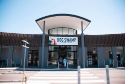 Strategic Growth at Dog Swamp and Williamtown Aerospace