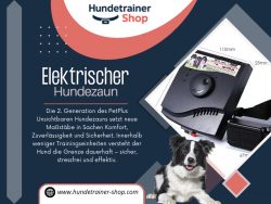 Elektrischer Hundezaun