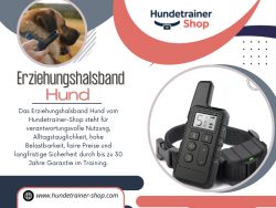 Erziehungshalsband Hund