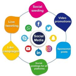 Best Social Media Marketing Company