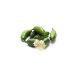 Finger Limes