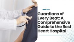 Guardians of Every Beat: A Comprehensive Guide to the Best Heart Hopsital