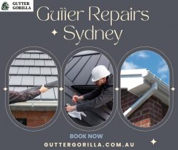 Reliable Gutter Repairs Gold Coast & Sydney: Protect Your Home with Expert Services