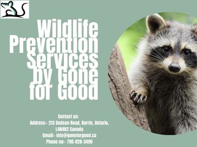 Wildlife Prevention Services by Gone for Good
