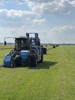 Star Turf Farms – Your Trusted High Quality Turf Provider