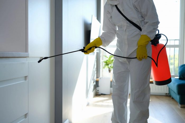 Deep Mould Cleaning Company That Restores Homes Safely And Quickly