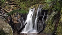 Yarra Ranges Accommodation – Expert Dandenong Ranges Accommodation Management & Holiday Rent ...