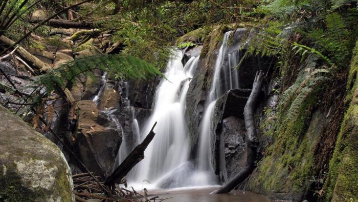 Yarra Ranges Accommodation – Expert Dandenong Ranges Accommodation Management & Holiday Rent ...