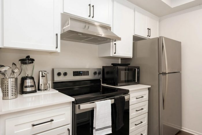 Fully Furnished Apartments